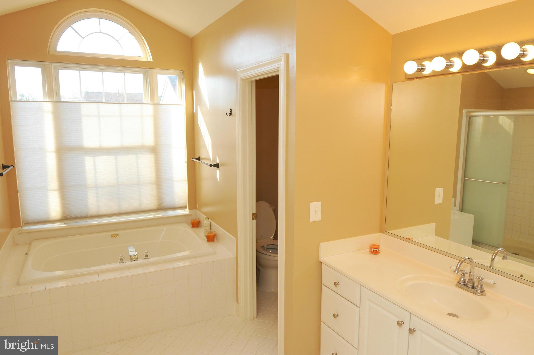 47647 Rhyolite Place Sterling, VA 20165 - Photo 14 of 20 Bath (Master)