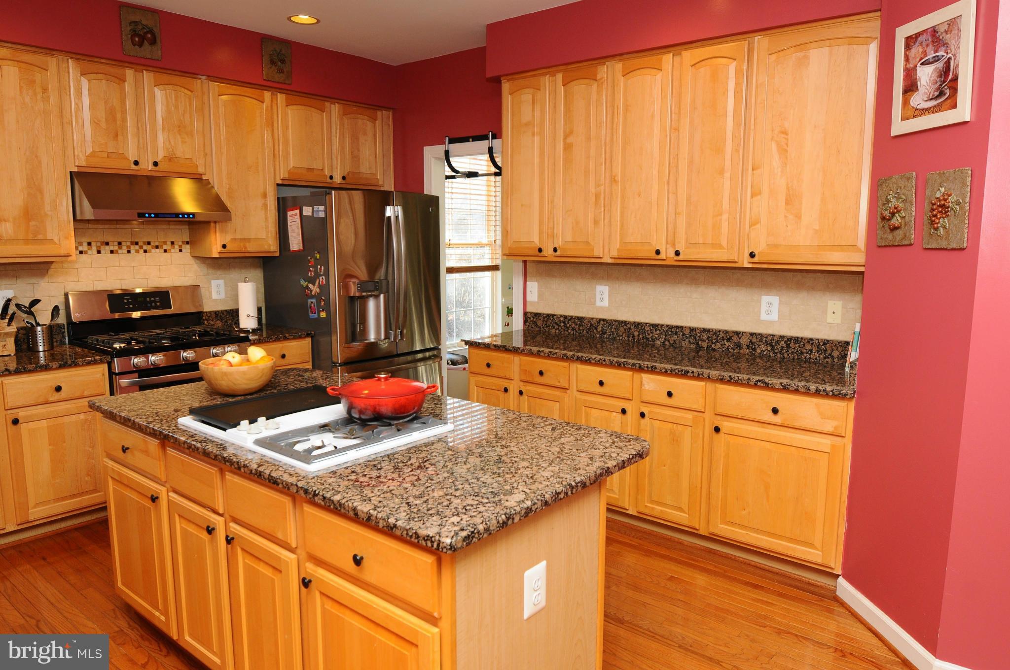 47647 Rhyolite Place Sterling, VA 20165 - Photo 4 of 20 Kitchen