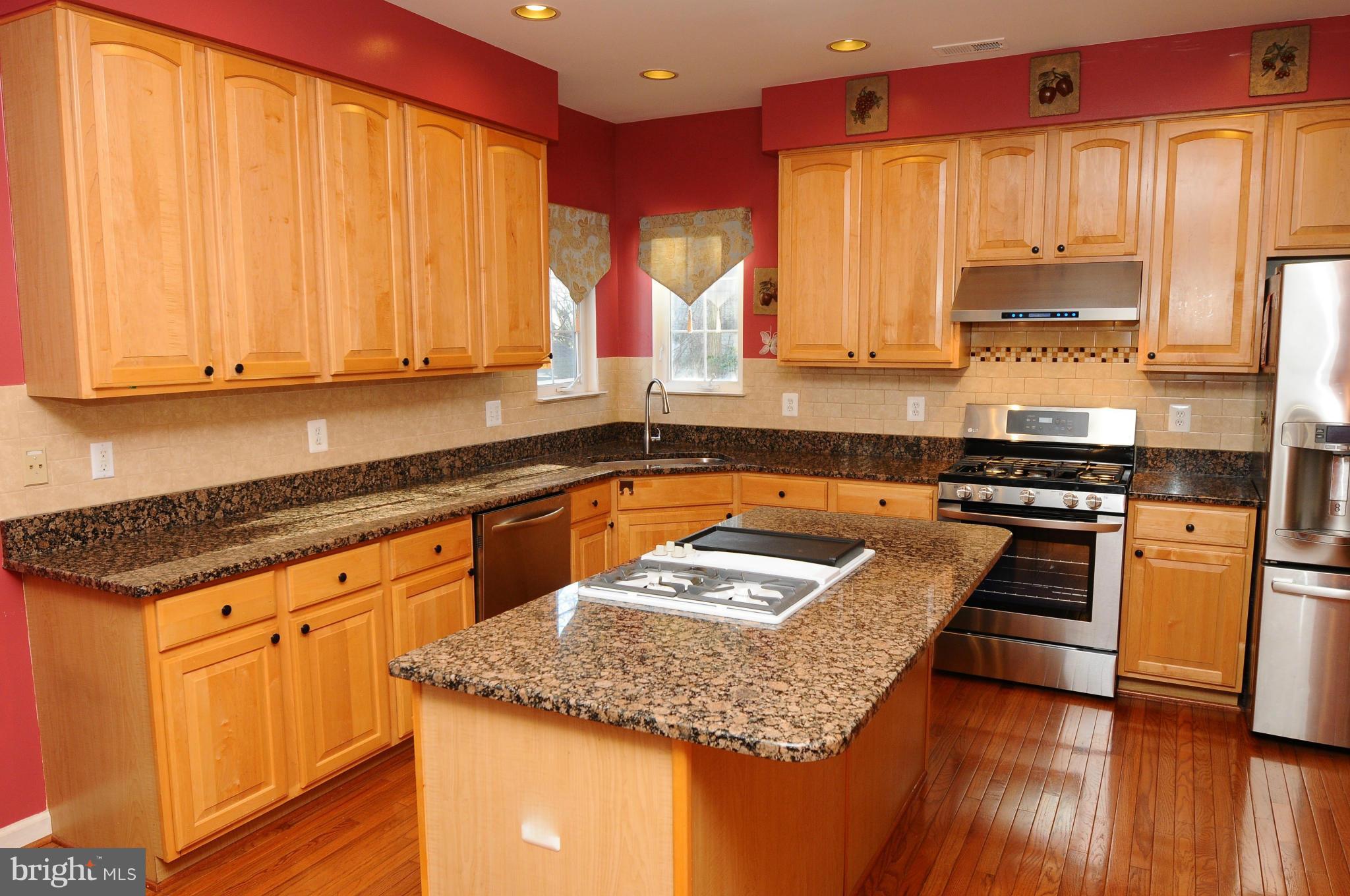 47647 Rhyolite Place Sterling, VA 20165 - Photo 5 of 20 Kitchen