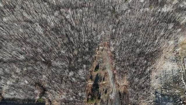 Lot 69 Grand View Drive Dedham, ME 04429 - Photo 15 of 38 656013022_961662576444913_17191866156903
