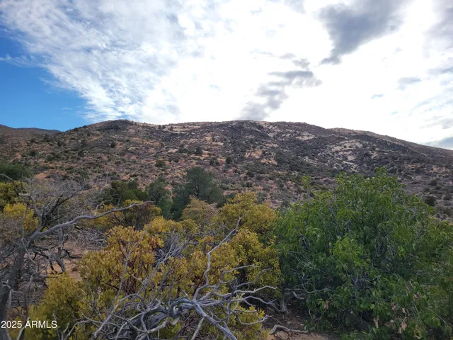 a view of a mountain