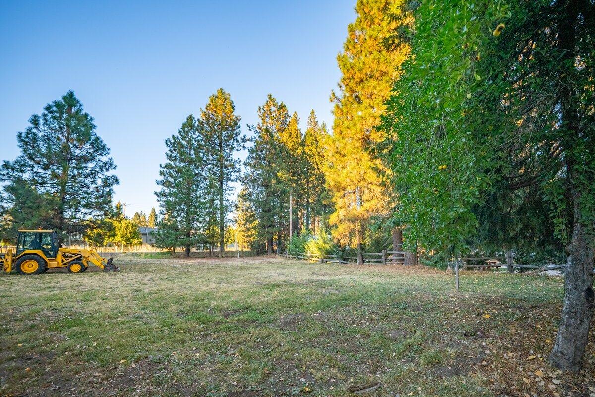 110 Squaw Valley Road McCloud, CA 96057 - Photo 30 of 33 a view of outdoor space with trees all around
