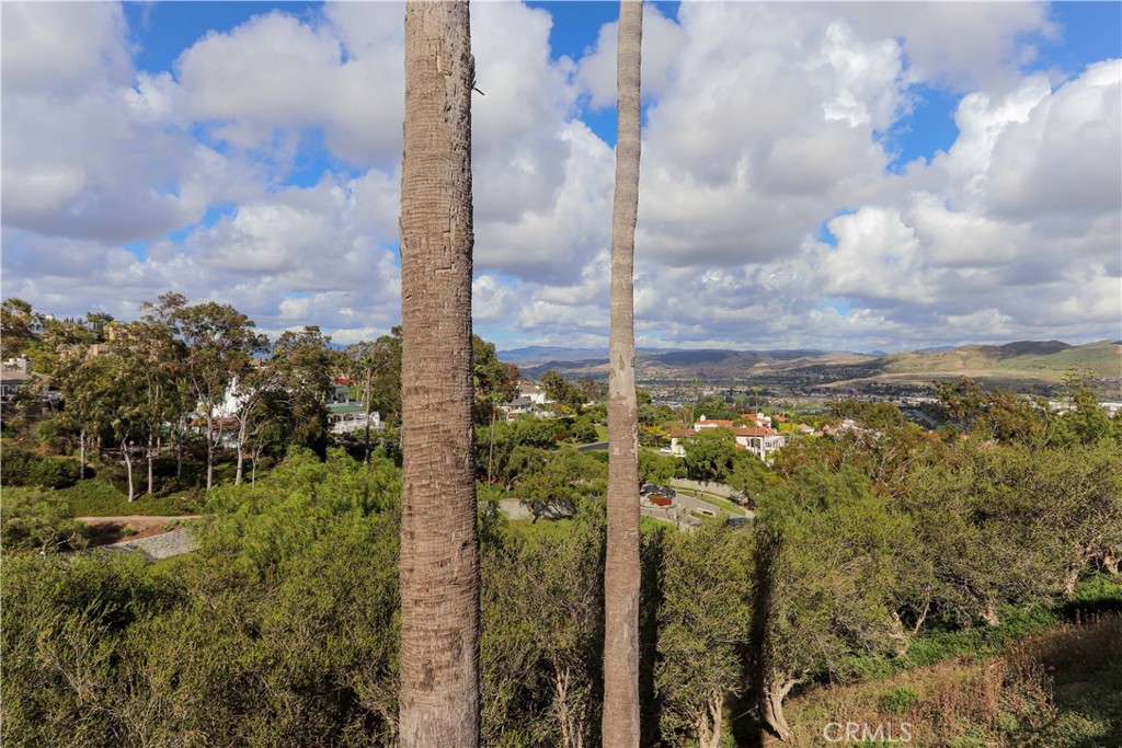 11 Terraza Del Mar Dana Point, CA 92629 - Photo 41 of 45