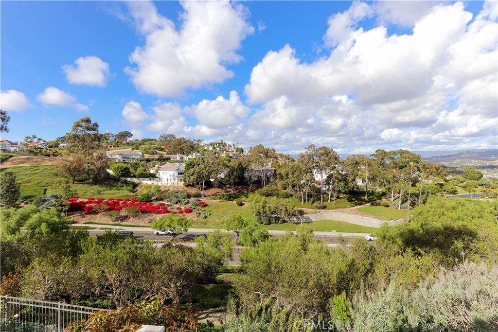 11 Terraza Del Mar Dana Point, CA 92629 - Photo 43 of 45