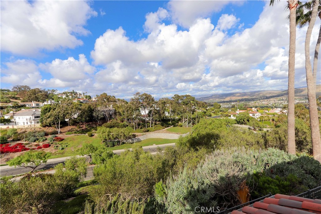 11 Terraza Del Mar Dana Point, CA 92629 - Photo 44 of 45