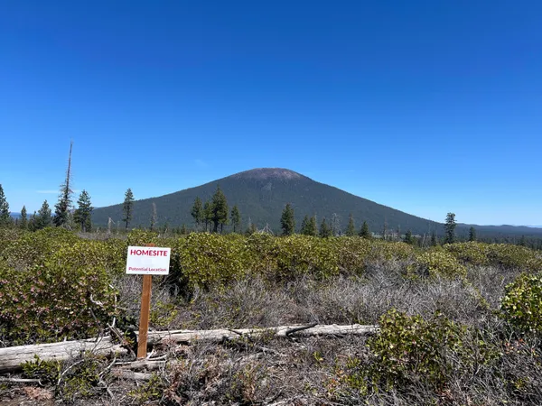 a sign board with tall trees
