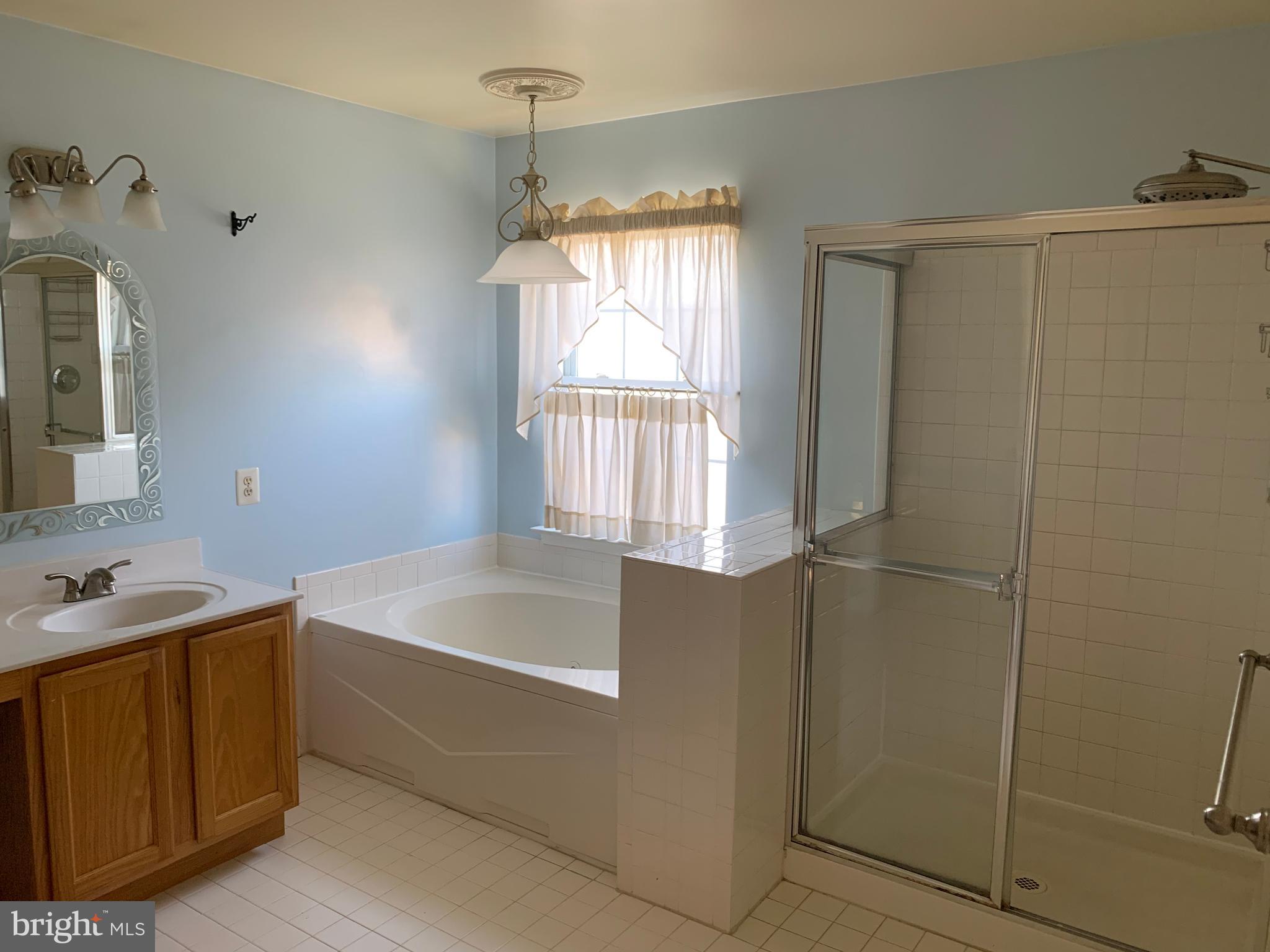 1229 Waterview Way Baltimore, MD 21221 - Photo 11 of 16 Master Bath