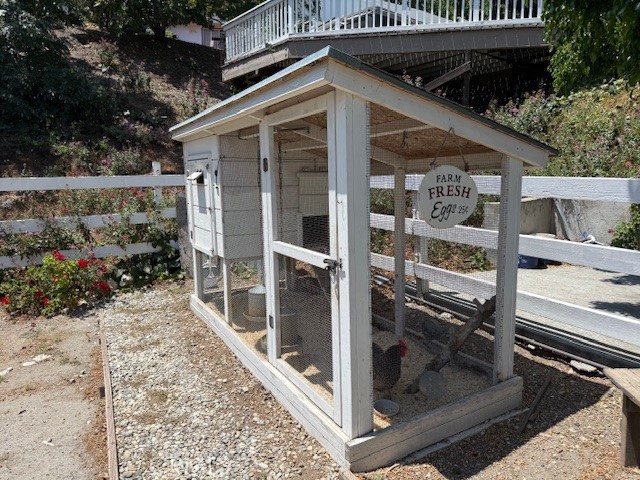 27610 Eastvale Road Palos Verdes Peninsula, CA 90274 - Photo 58 of 66 Cute little chicken.