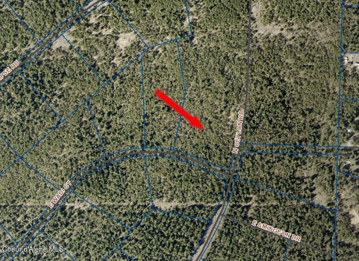 23775 North Ceylon Road Rathdrum, ID 83858 - Photo 3 of 5 Close Aerial