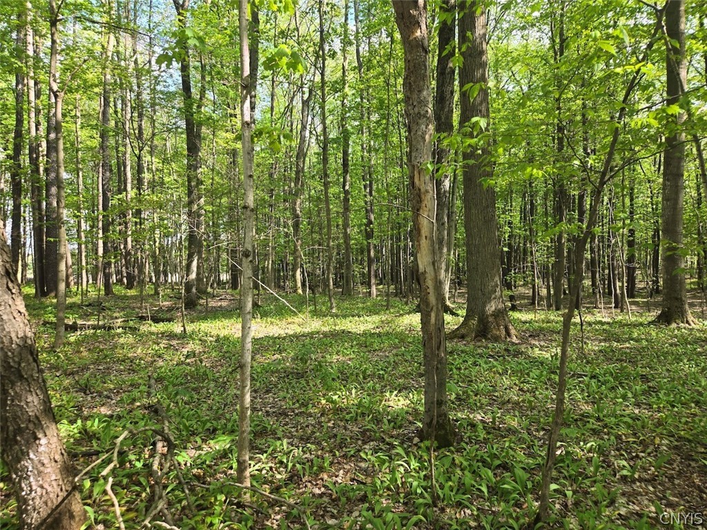 Pochuck Road Bliss, NY 14024 - Photo 22 of 23