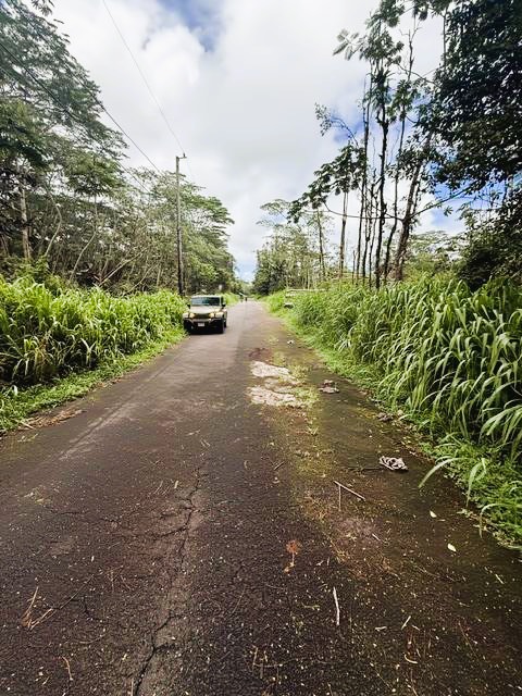 178 Mayzee Road Pahoa, HI 96778 - Photo 6 of 9