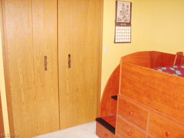 32 Boulder Ridge Place Painesville, OH 44077 - Photo 23 of 33 Bedroom #3 closet