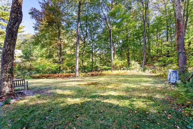 a view of a yard with large trees