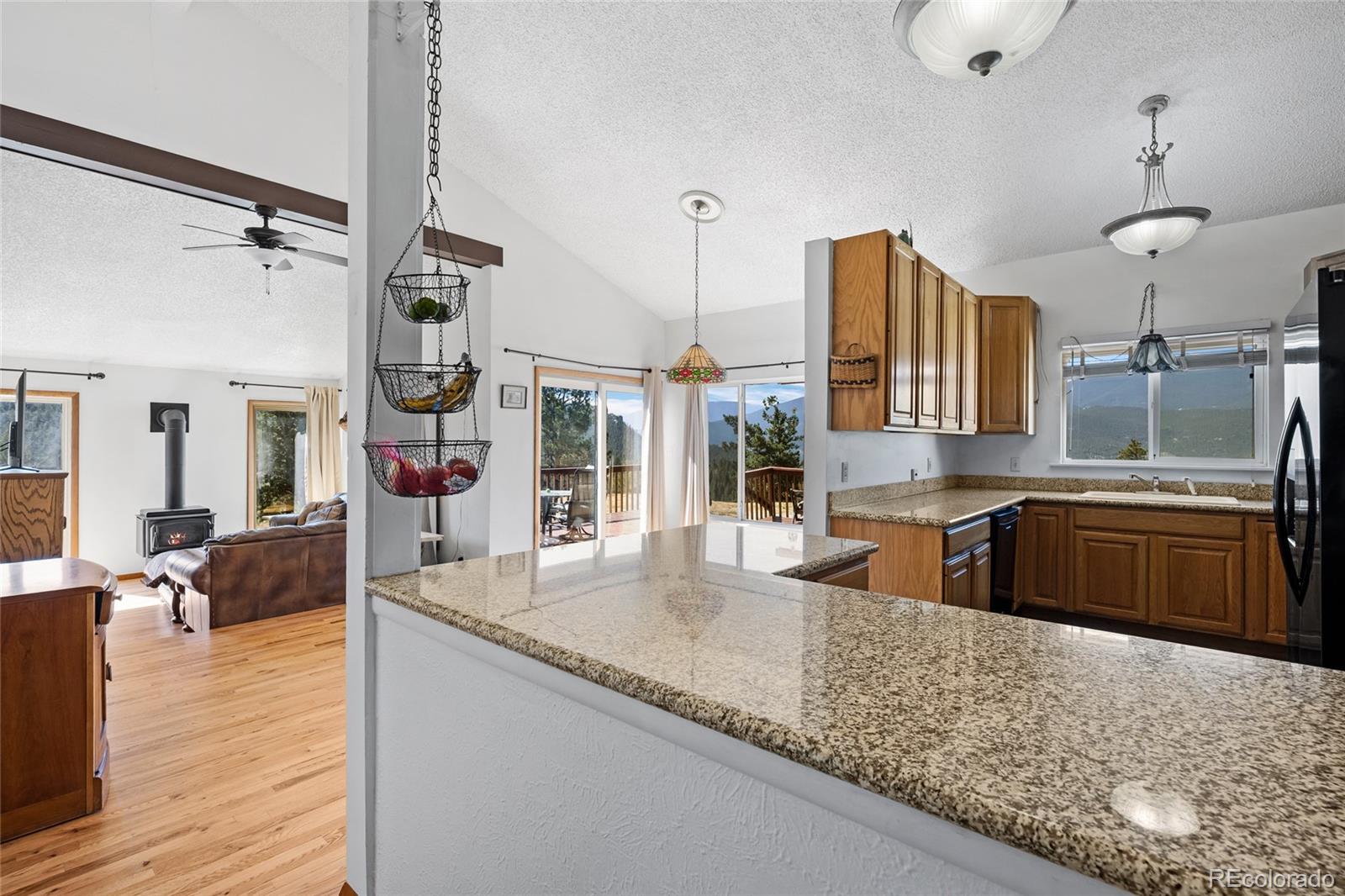 1729 Crow Valley Road Bailey, CO 80421 - Photo 14 of 49