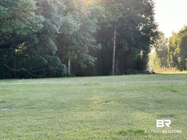 0 Wilmer Road Wilmer, AL 36587 - Photo 25 of 28