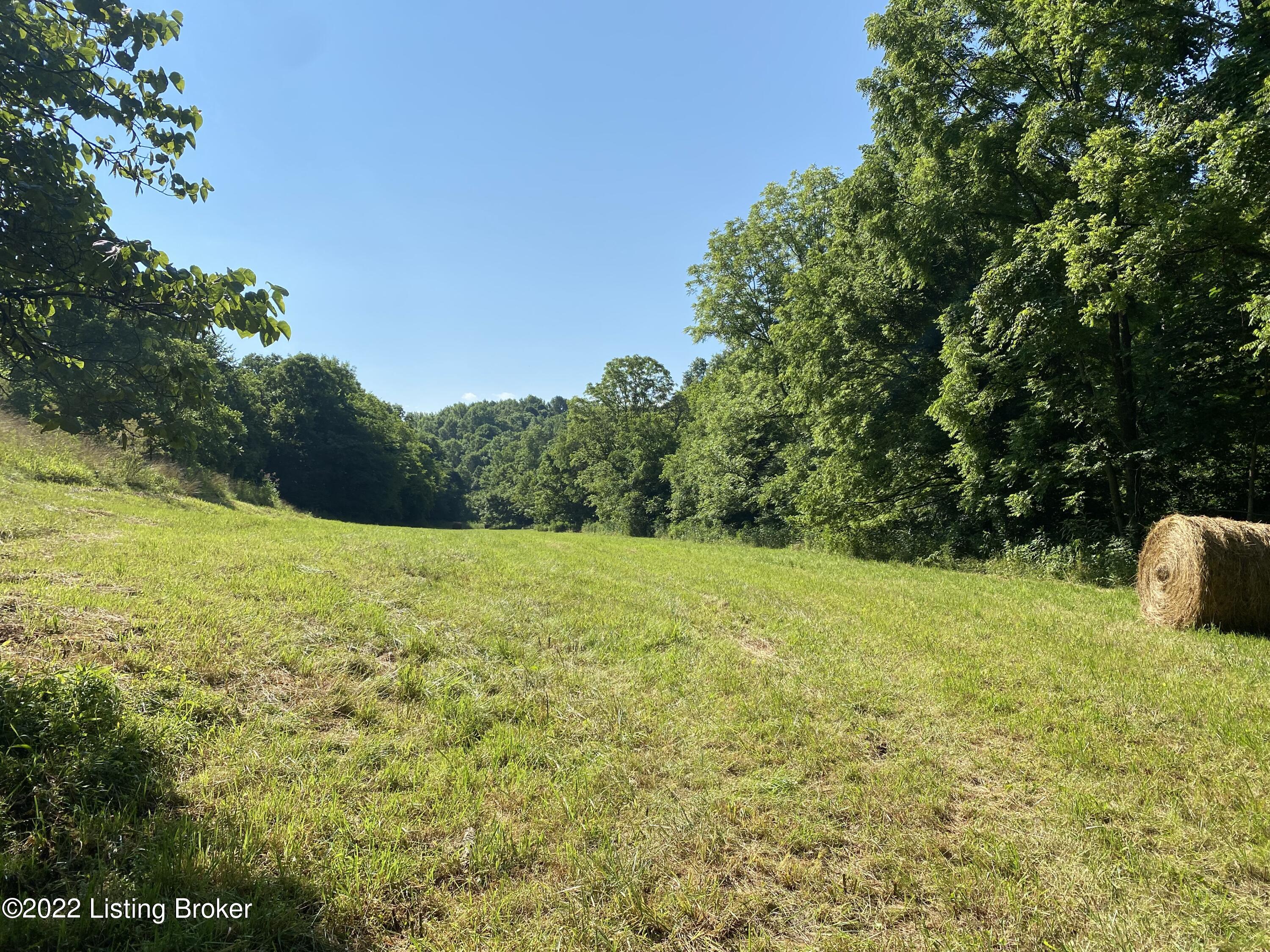 1795 Briar Ridge Road Mount Eden, KY 40046 - Photo 18 of 59 IMG_4507