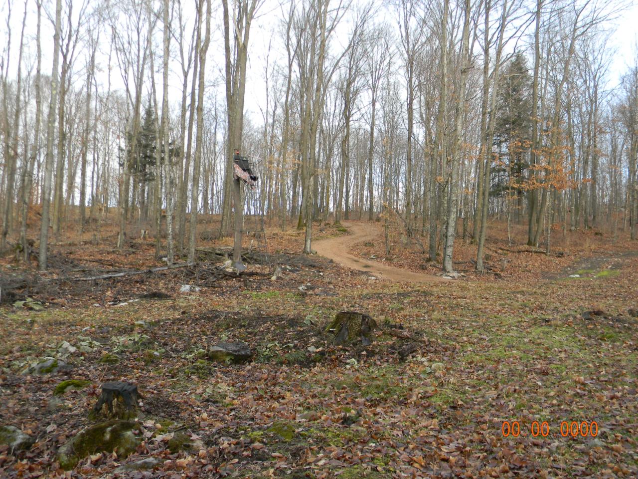 N7403 Begin Road Deerbrook, WI 54424 - Photo 26 of 66 Gallery Image 26