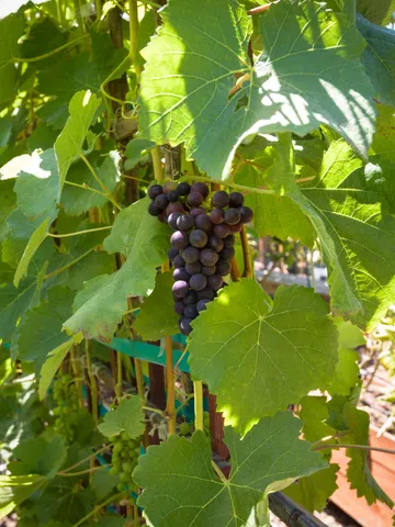 $2,750,000 | 3715 Hitchcock Ranch Road, Santa Barbara, CA 93105