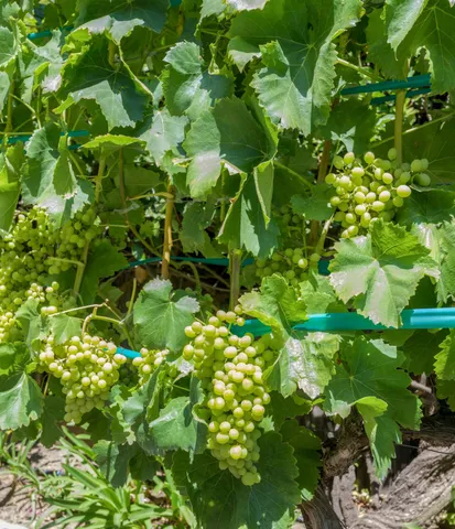 $2,750,000 | 3715 Hitchcock Ranch Road, Santa Barbara, CA 93105