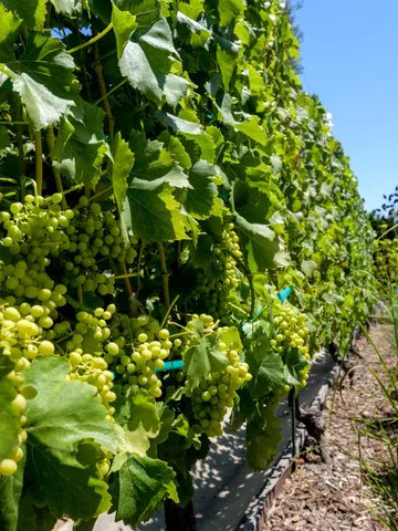 $2,750,000 | 3715 Hitchcock Ranch Road, Santa Barbara, CA 93105