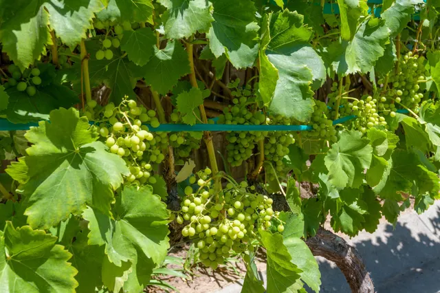 $2,750,000 | 3715 Hitchcock Ranch Road, Santa Barbara, CA 93105