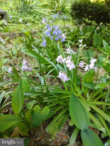 $575,000 | 38310 Pleasant View Drive, Charlotte Hall, MD 20622