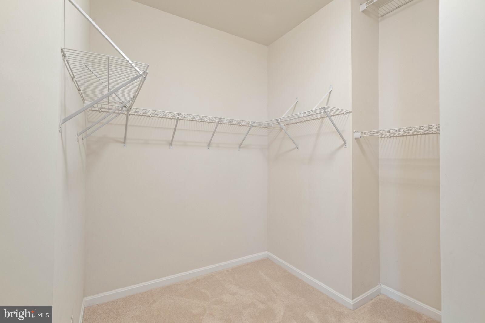 47742 Warwickshire Terrace Sterling, VA 20165 - Photo 32 of 88 Large Walk in Closet