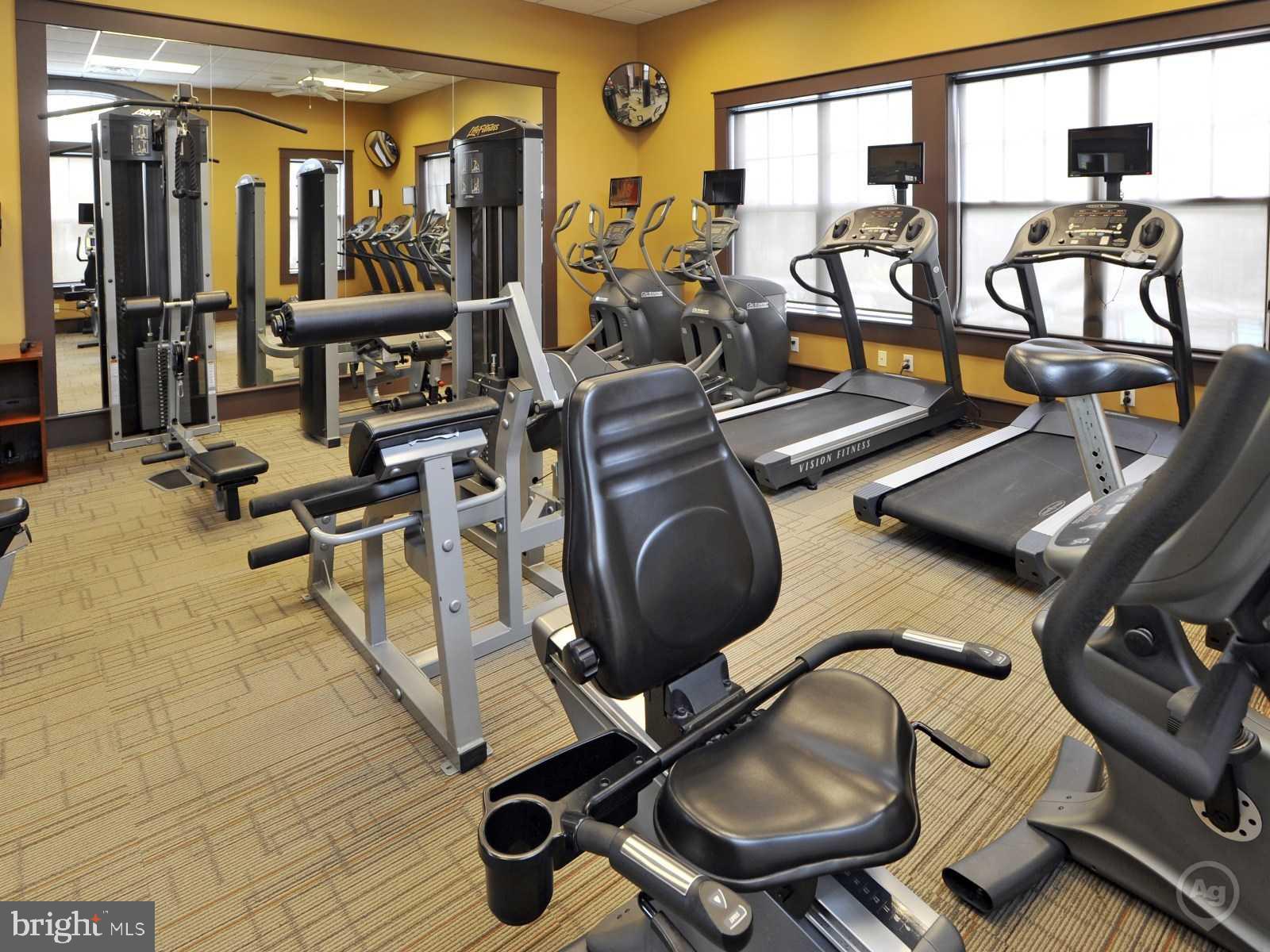 47742 Warwickshire Terrace Sterling, VA 20165 - Photo 56 of 88 One of 2 Fitness Centers