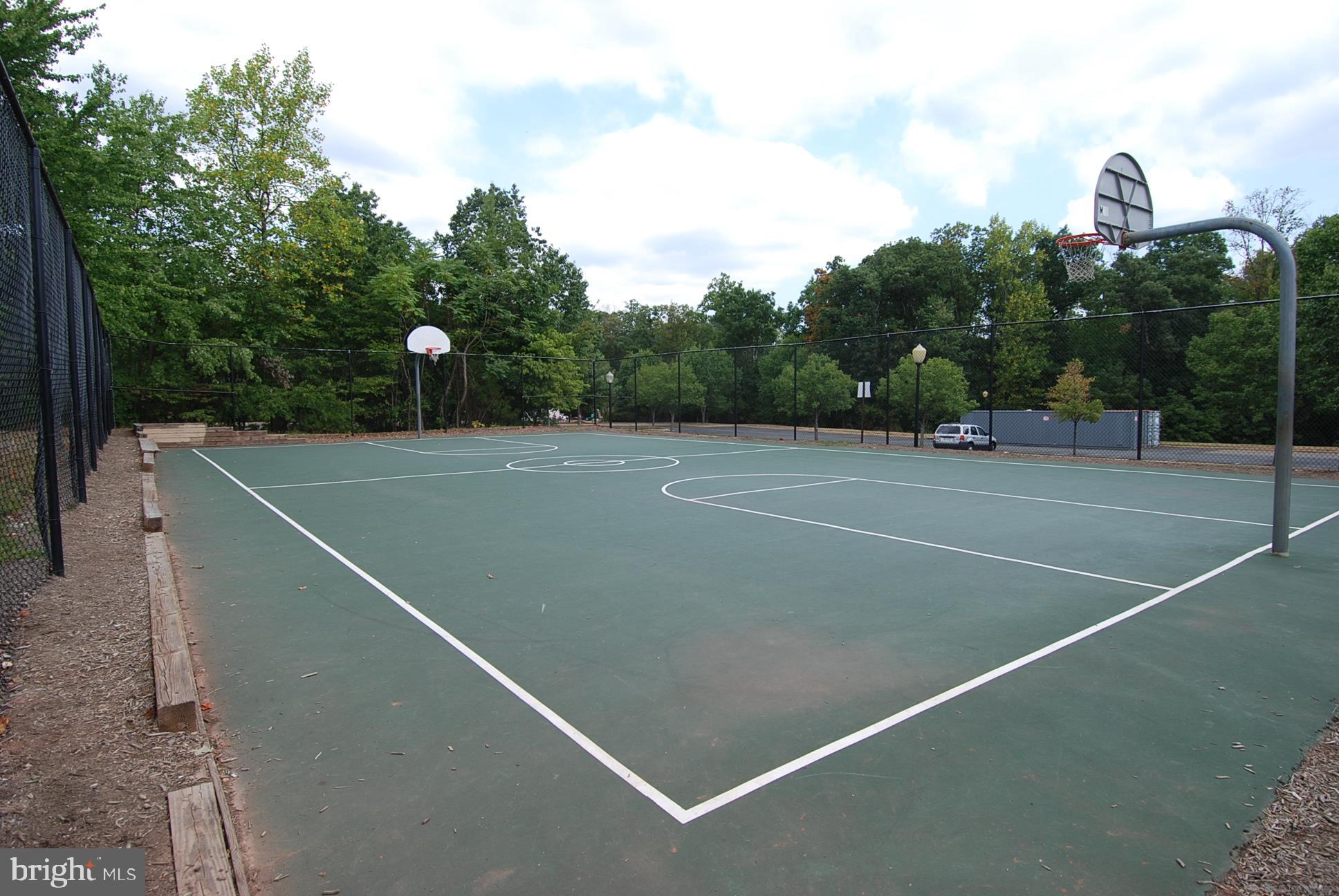 47742 Warwickshire Terrace Sterling, VA 20165 - Photo 62 of 88 Basketball Court