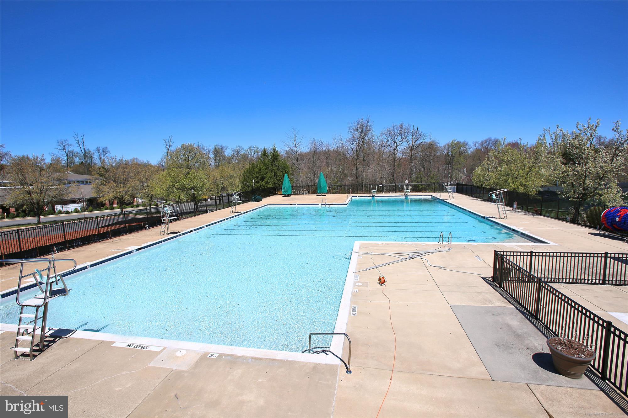 47742 Warwickshire Terrace Sterling, VA 20165 - Photo 63 of 88 Community Swimming Pool