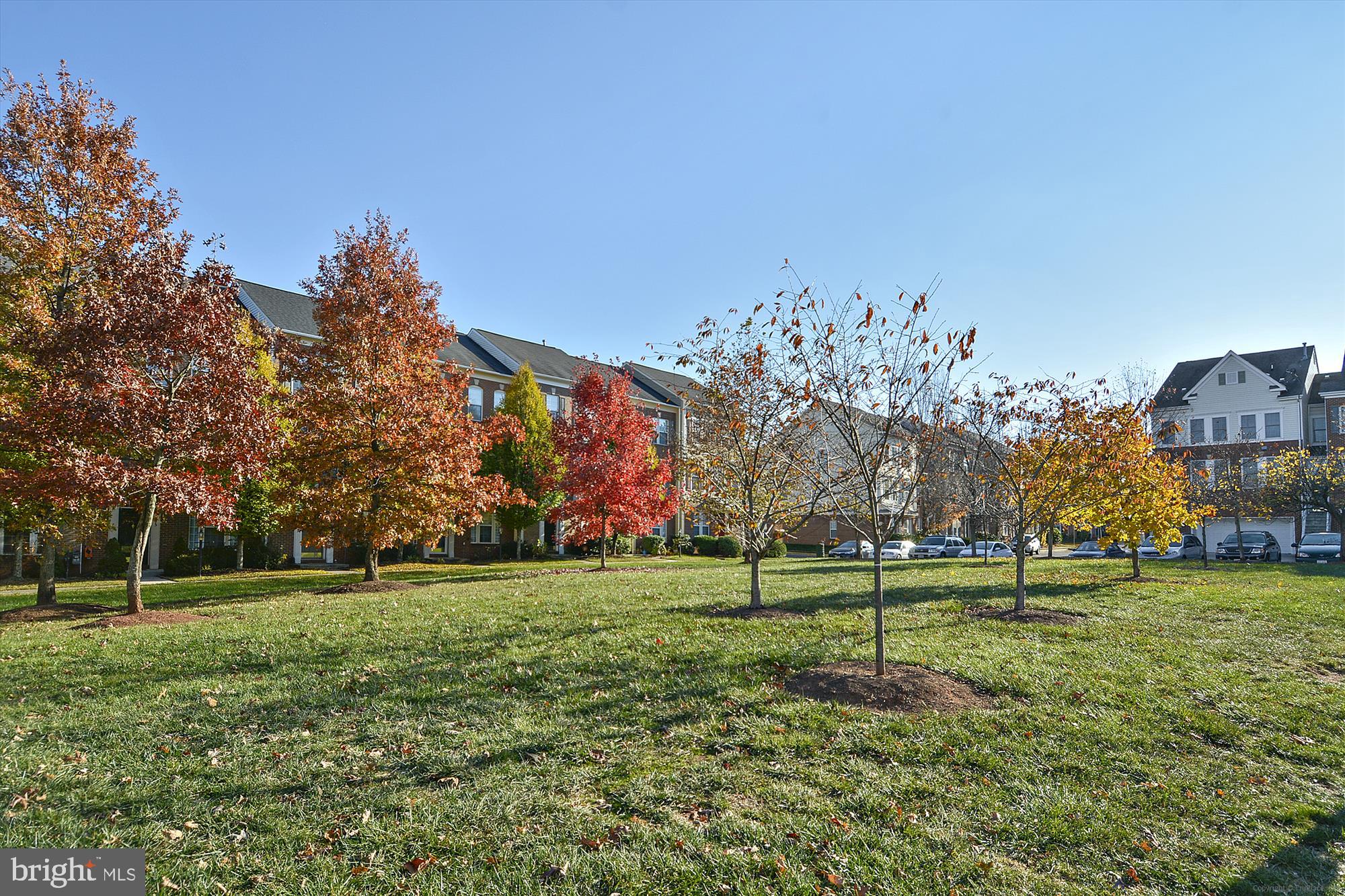 47742 Warwickshire Terrace Sterling, VA 20165 - Photo 66 of 88 Common Grounds Everywhere