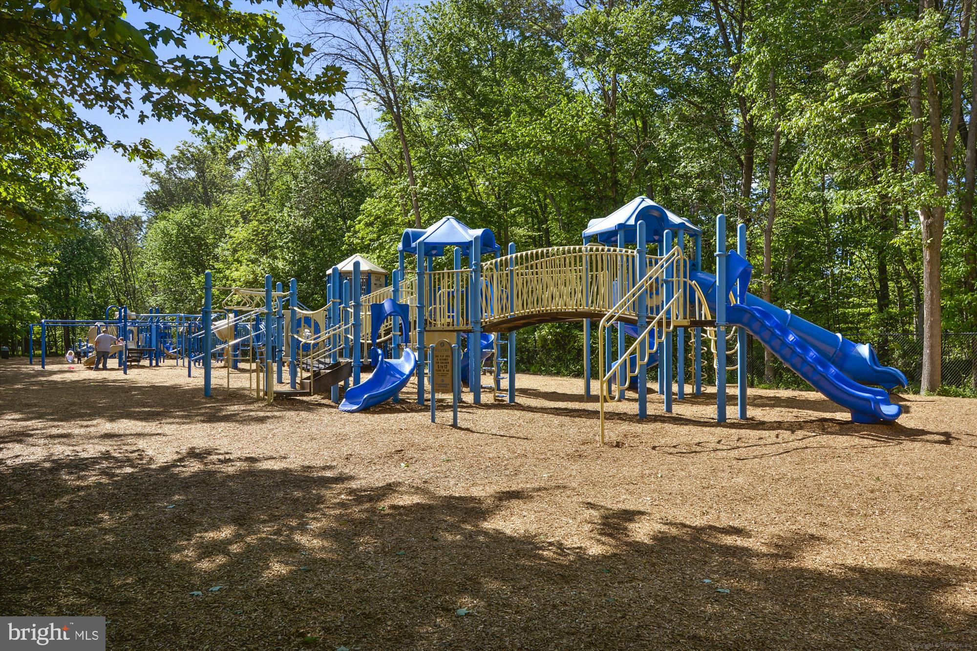 47742 Warwickshire Terrace Sterling, VA 20165 - Photo 73 of 88 Kids Love it Here!