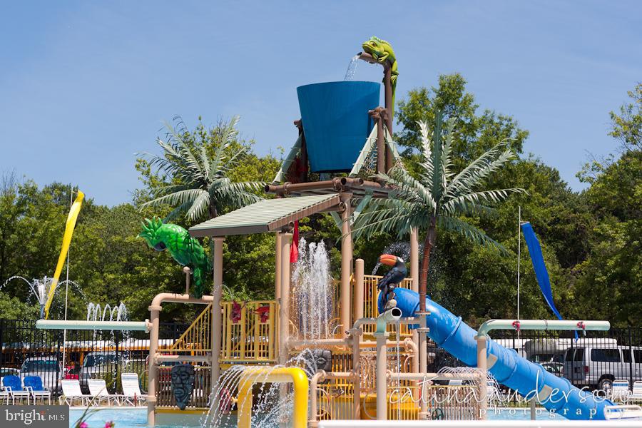 47742 Warwickshire Terrace Sterling, VA 20165 - Photo 74 of 88 Nearby Volcano Island Water Park