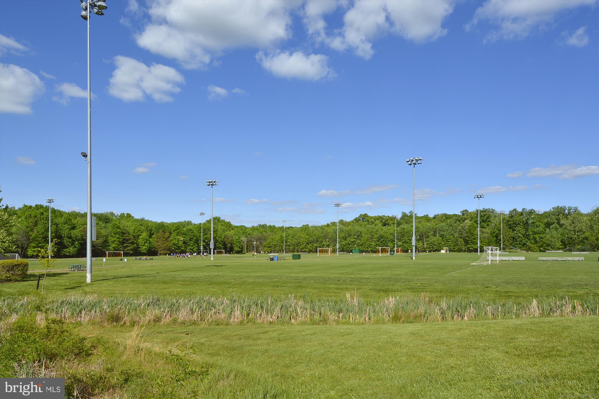 47742 Warwickshire Terrace Sterling, VA 20165 - Photo 78 of 88 Ball Fields
