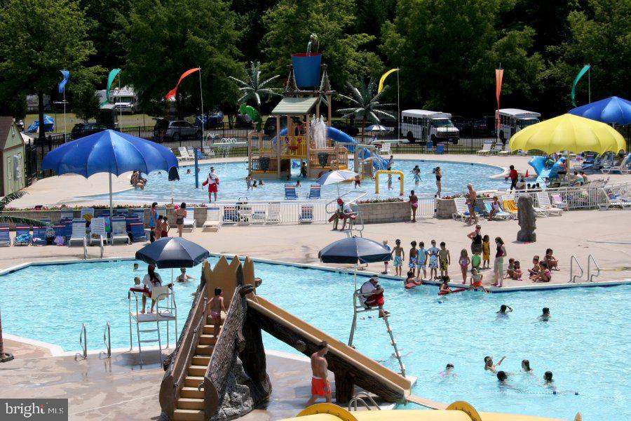 47742 Warwickshire Terrace Sterling, VA 20165 - Photo 88 of 88 Volcano Island Water Park