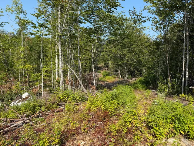 $160,000 | Tbd Tbd Oak Mt Road, Springfield, ME 04487