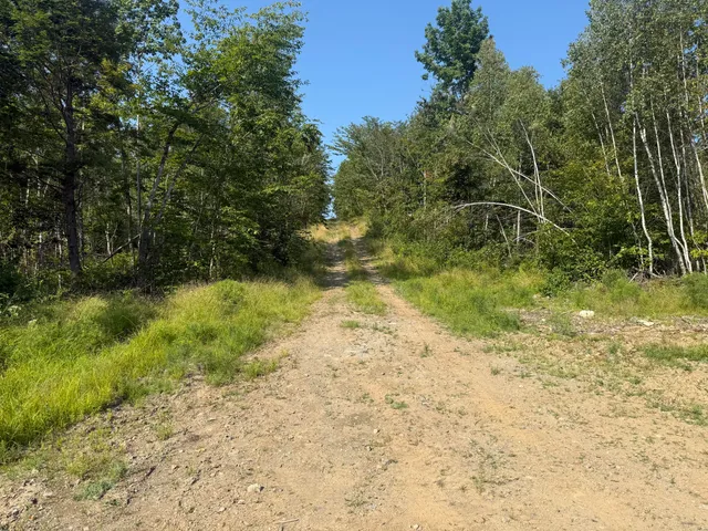 $160,000 | Tbd Tbd Oak Mt Road, Springfield, ME 04487