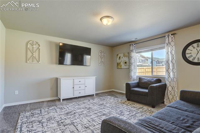 10946 Avena Road Peyton, CO 80831 - Photo 6 of 23 Living Room 2