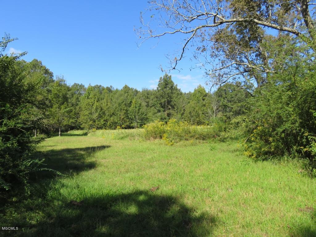 140 Holland Road Lucedale, MS 39452 - Photo 26 of 28 thumb_IMG_0596_1024