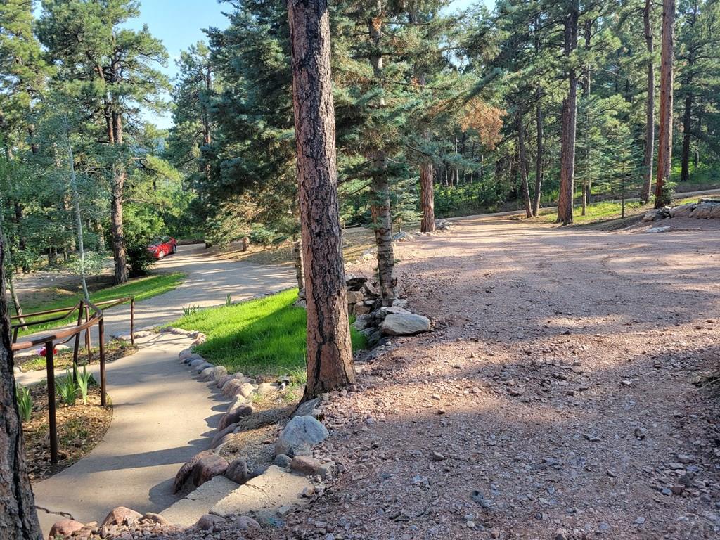 8335 Zorn Road Rye, CO 81069 - Photo 33 of 49