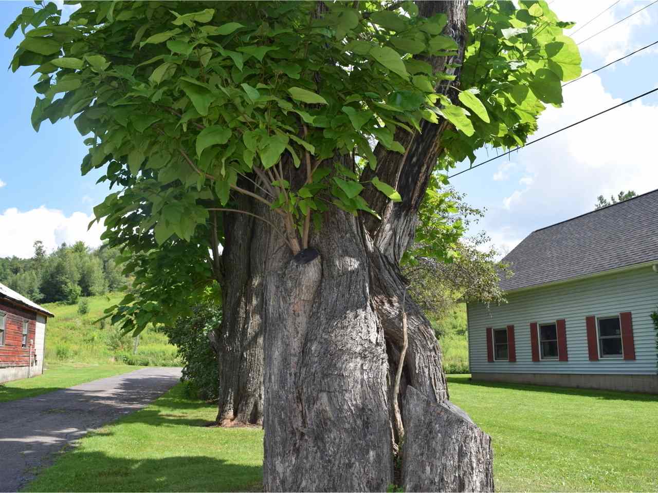 289 River Road Essex, VT 05452 - Photo 24 of 40 Gallery Image 24