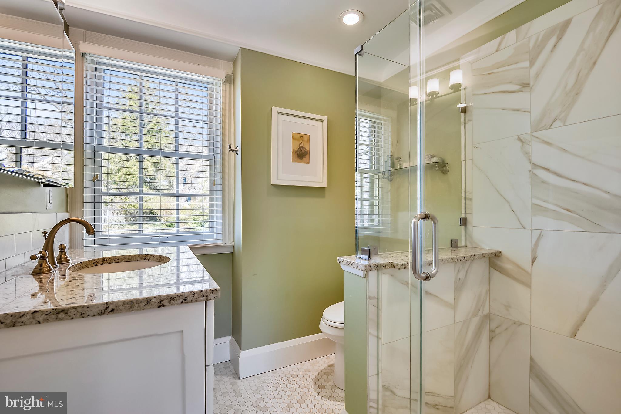 309 Tunbridge Road Baltimore, MD 21212 - Photo 18 of 40 Master Bath