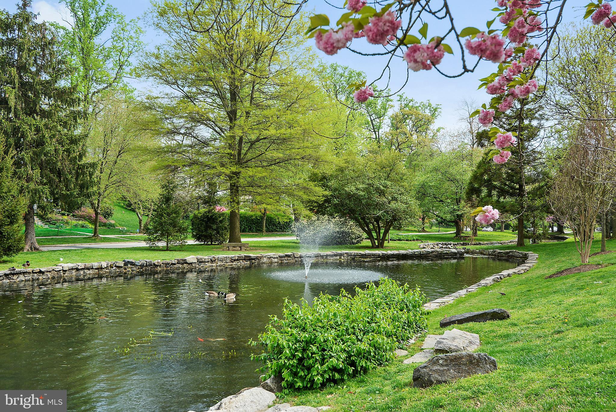 309 Tunbridge Road Baltimore, MD 21212 - Photo 40 of 40 Lakes of Homeland