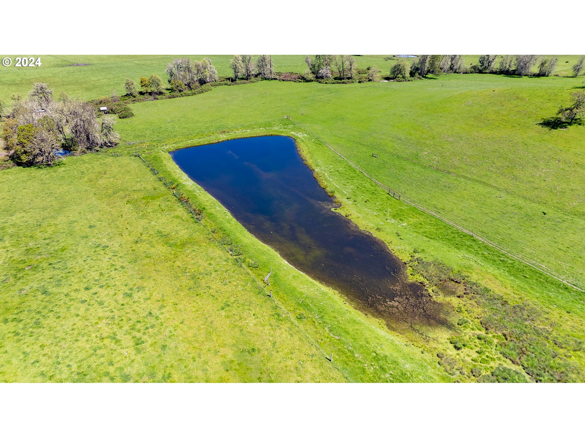 9373 Roberts Creek Road Roseburg, OR 97470 - Photo 39 of 48 Pond