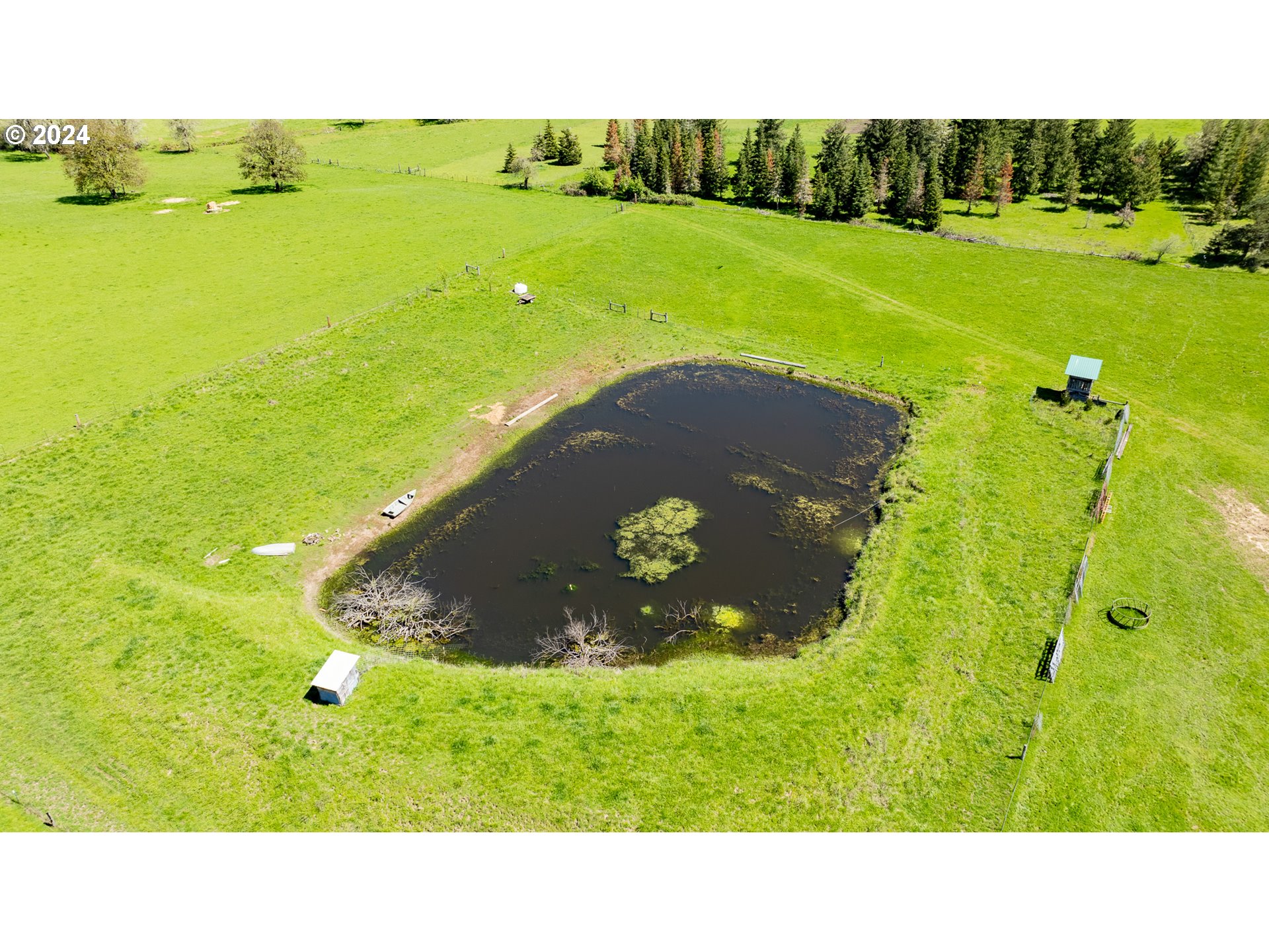 9373 Roberts Creek Road Roseburg, OR 97470 - Photo 40 of 48 Pond