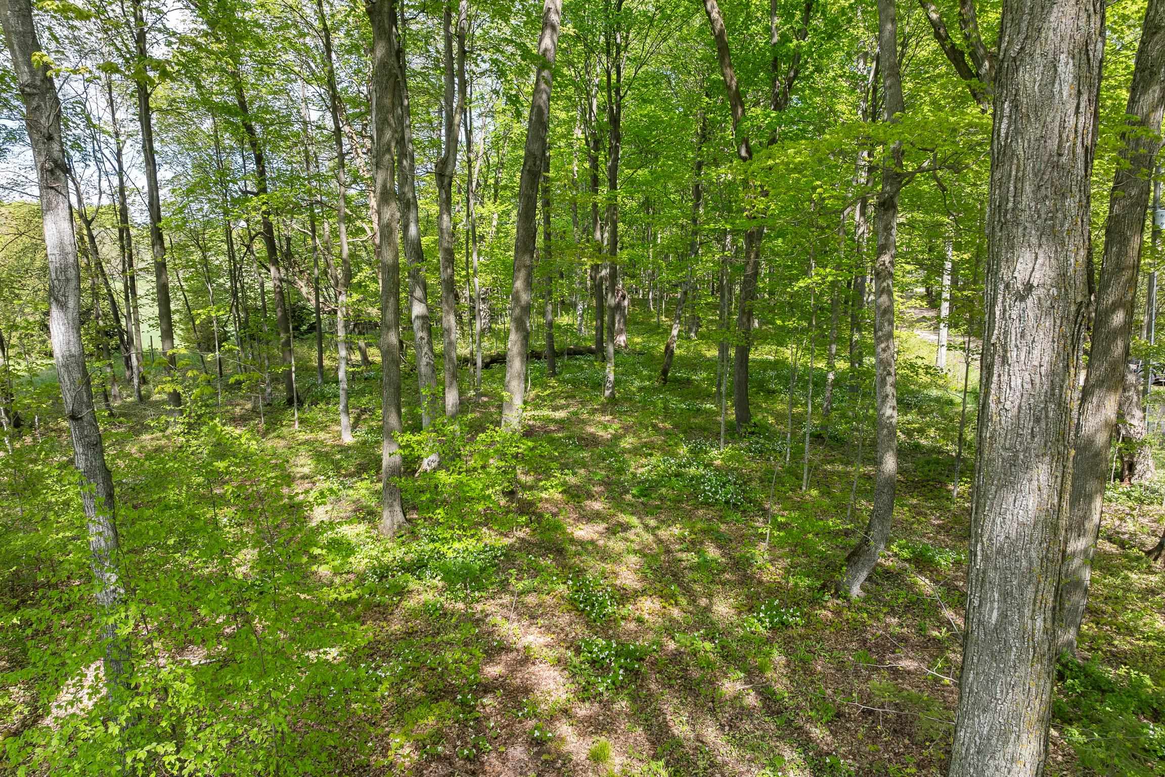 2799 Lake Ann Road Interlochen, MI 49643 - Photo 4 of 11
