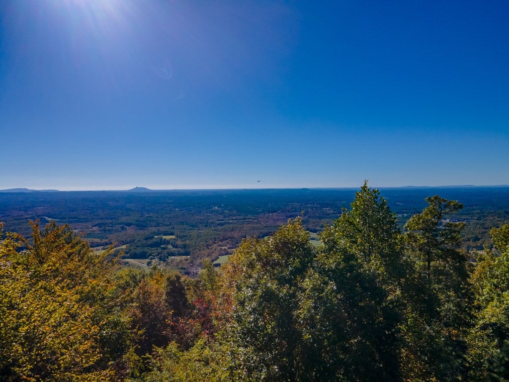 Lot 93 Reflections Point Trail, Unit 93 Fancy Gap, VA 24328 - Photo 71 of 92 Gallery Image 71
