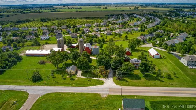 a view of a yard with plants