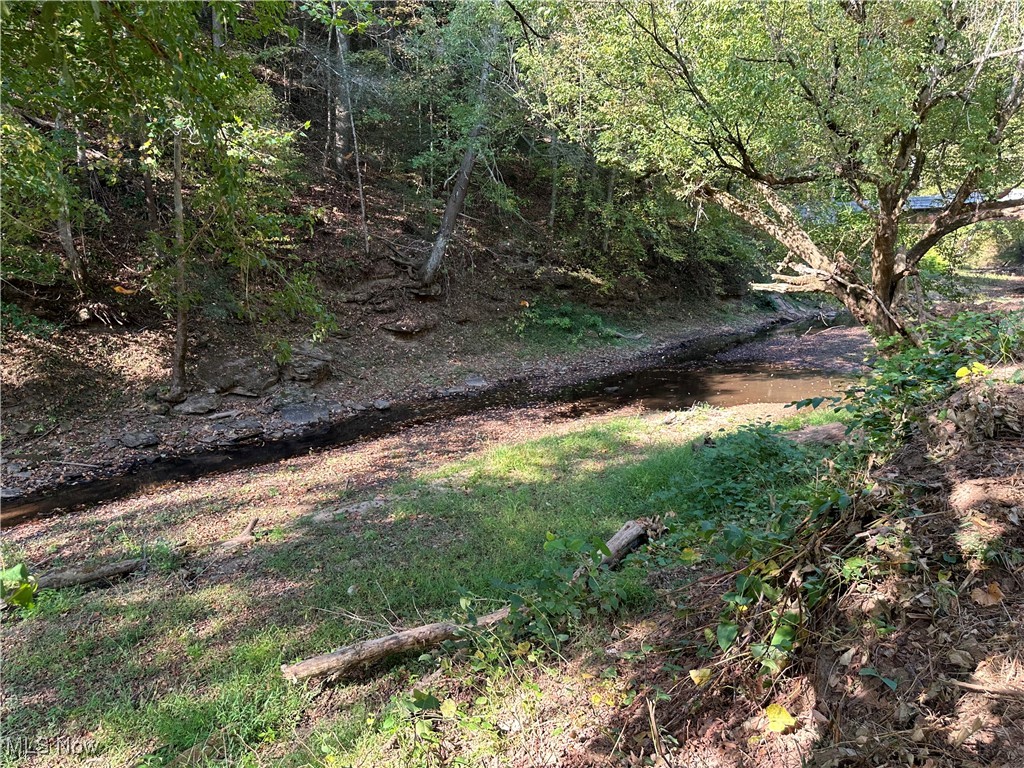 1 River Road Walton, WV 25286 - Photo 7 of 22
