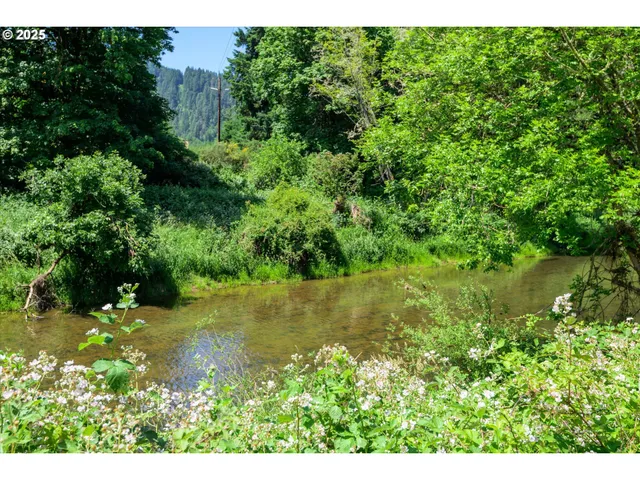 $499,000 | 7896 Highway 38, Drain, OR 97435